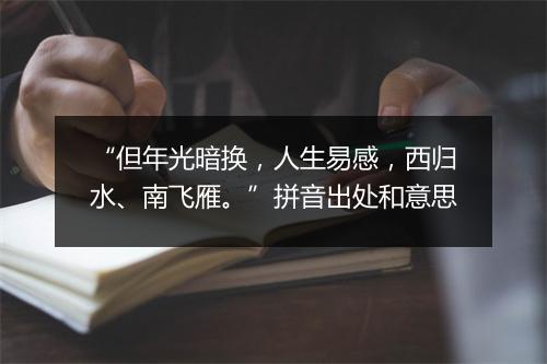 “但年光暗换，人生易感，西归水、南飞雁。”拼音出处和意思