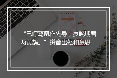 “已呼鸾凰作先导，岁晚期君两黄鹄。”拼音出处和意思