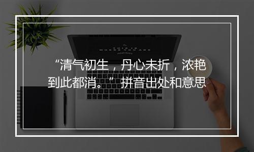 “清气初生，丹心未折，浓艳到此都消。”拼音出处和意思