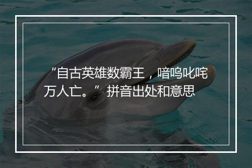 “自古英雄数霸王，喑呜叱咤万人亡。”拼音出处和意思