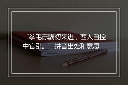 “拳毛赤騧初来进，西人自控中官引。”拼音出处和意思