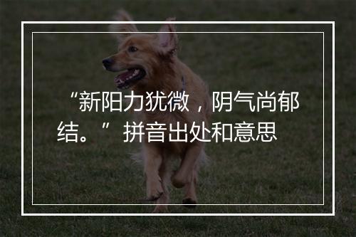 “新阳力犹微，阴气尚郁结。”拼音出处和意思