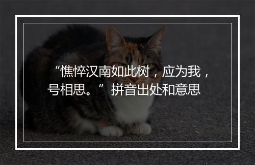 “憔悴汉南如此树，应为我，号相思。”拼音出处和意思