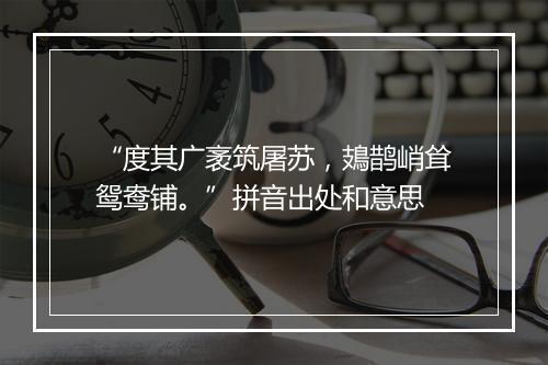 “度其广袤筑屠苏，鳷鹊峭耸鸳鸯铺。”拼音出处和意思