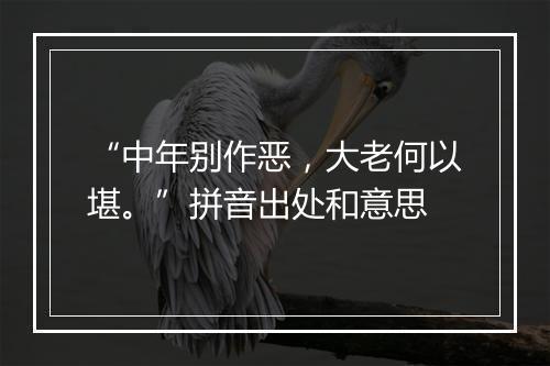 “中年别作恶，大老何以堪。”拼音出处和意思