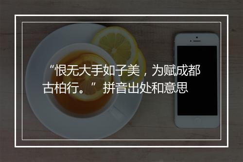 “恨无大手如子美，为赋成都古柏行。”拼音出处和意思