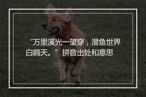 “万里溪光一望穿，潜鱼世界白鸥天。”拼音出处和意思