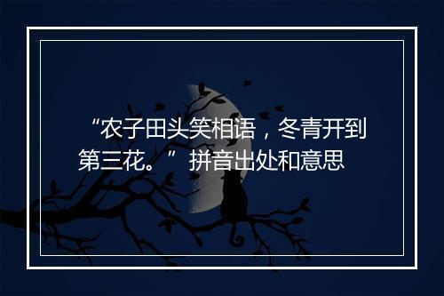 “农子田头笑相语，冬青开到第三花。”拼音出处和意思