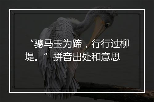 “骢马玉为蹄，行行过柳堤。”拼音出处和意思