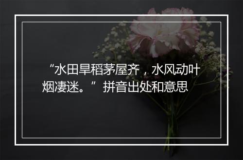 “水田旱稻茅屋齐，水风动叶烟凄迷。”拼音出处和意思