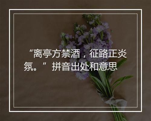 “离亭方禁酒，征路正炎氛。”拼音出处和意思