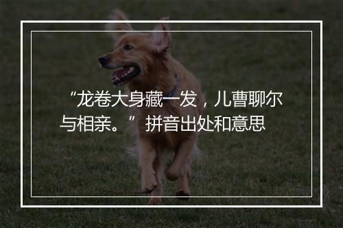 “龙卷大身藏一发，儿曹聊尔与相亲。”拼音出处和意思