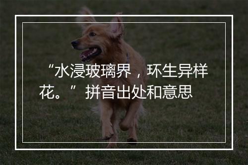 “水浸玻璃界，环生异样花。”拼音出处和意思