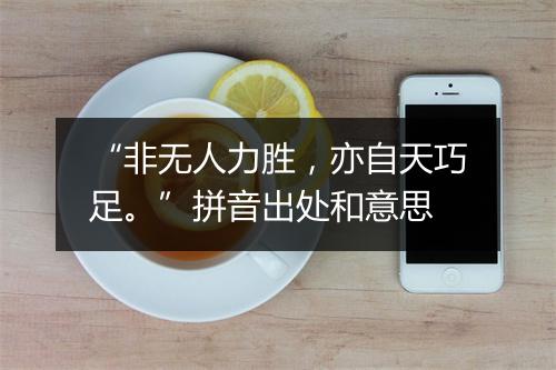 “非无人力胜，亦自天巧足。”拼音出处和意思