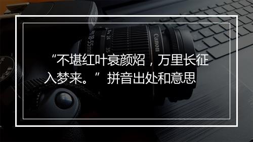 “不堪红叶衰颜炤，万里长征入梦来。”拼音出处和意思