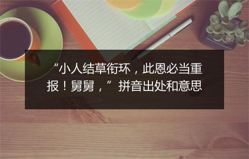 “小人结草衔环，此恩必当重报！舅舅，”拼音出处和意思