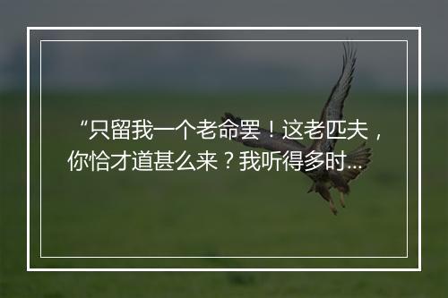 “只留我一个老命罢！这老匹夫，你恰才道甚么来？我听得多时了也。”拼音出处和意思