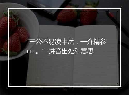 “三公不易凌中岳，一介精参□□□。”拼音出处和意思