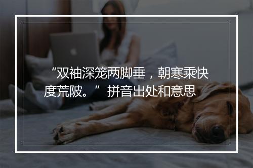 “双袖深笼两脚垂，朝寒乘快度荒陂。”拼音出处和意思