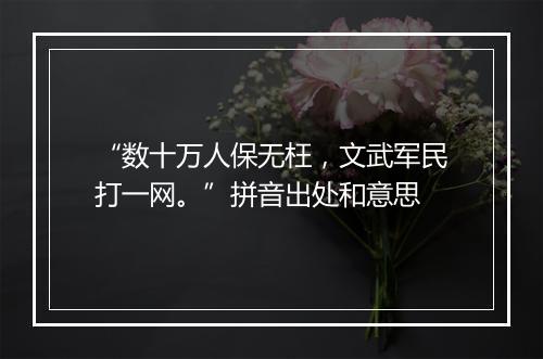 “数十万人保无枉，文武军民打一网。”拼音出处和意思