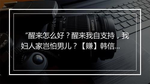 “醒来怎么好？醒来我自支持，我妇人家岂怕男儿？【赚】韩信当时，”拼音出处和意思