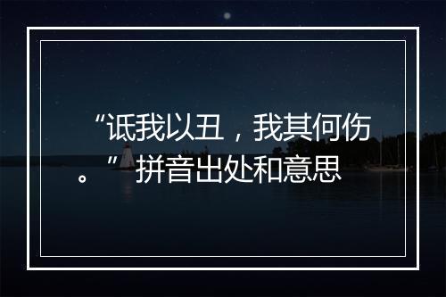 “诋我以丑，我其何伤。”拼音出处和意思