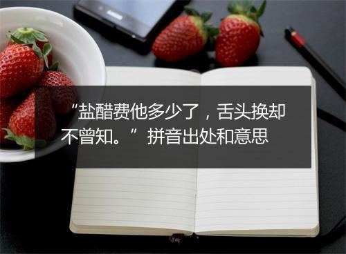 “盐醋费他多少了，舌头换却不曾知。”拼音出处和意思