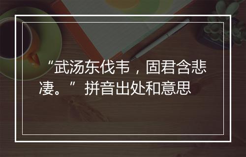 “武汤东伐韦，固君含悲凄。”拼音出处和意思