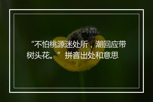 “不怕桃源迷处所，潮回应带树头花。”拼音出处和意思