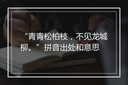 “青青松柏枝，不见龙城柳。”拼音出处和意思