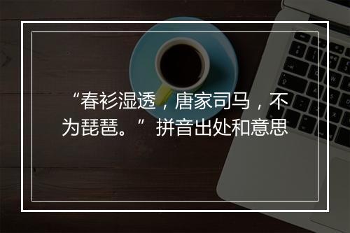 “春衫湿透，唐家司马，不为琵琶。”拼音出处和意思