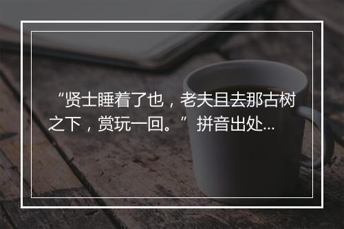 “贤士睡着了也，老夫且去那古树之下，赏玩一回。”拼音出处和意思