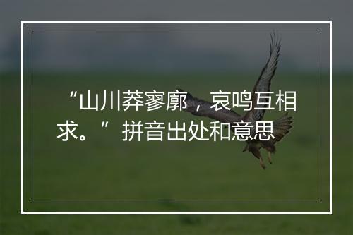 “山川莽寥廓，哀鸣互相求。”拼音出处和意思