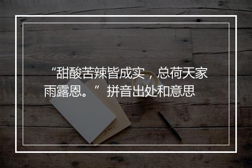 “甜酸苦辣皆成实，总荷天家雨露恩。”拼音出处和意思