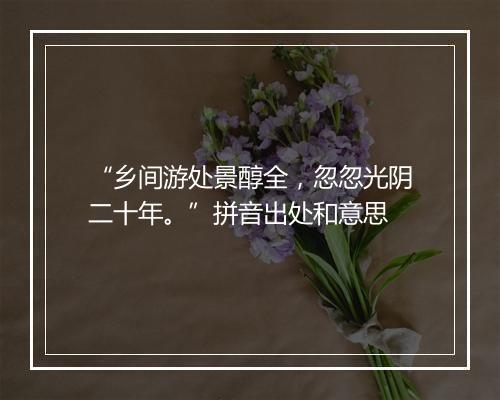 “乡间游处景醇全，忽忽光阴二十年。”拼音出处和意思