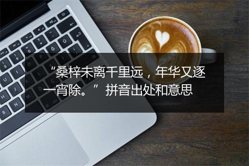 “桑梓未离千里远，年华又逐一宵除。”拼音出处和意思