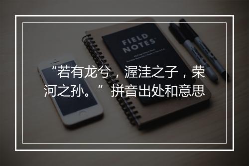 “若有龙兮，渥洼之子，荣河之孙。”拼音出处和意思