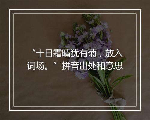 “十日霜晴犹有菊，放入词场。”拼音出处和意思