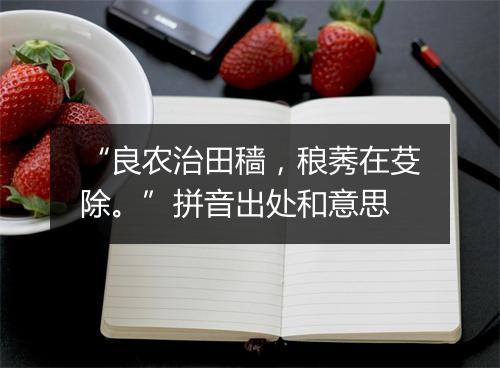 “良农治田穑，稂莠在芟除。”拼音出处和意思