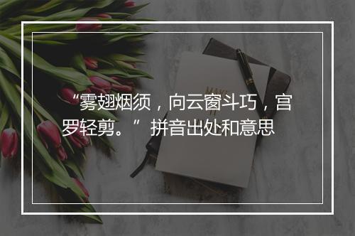 “雾翅烟须，向云窗斗巧，宫罗轻剪。”拼音出处和意思