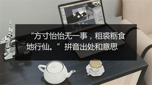 “方寸怡怡无一事，粗裘粝食地行仙。”拼音出处和意思