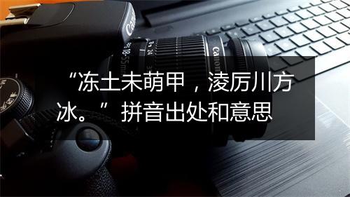 “冻土未萌甲，淩厉川方冰。”拼音出处和意思