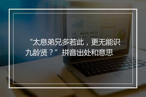 “太息弟兄多若此，更无能识九龄贤？”拼音出处和意思