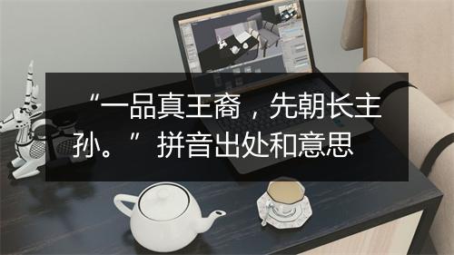 “一品真王裔，先朝长主孙。”拼音出处和意思