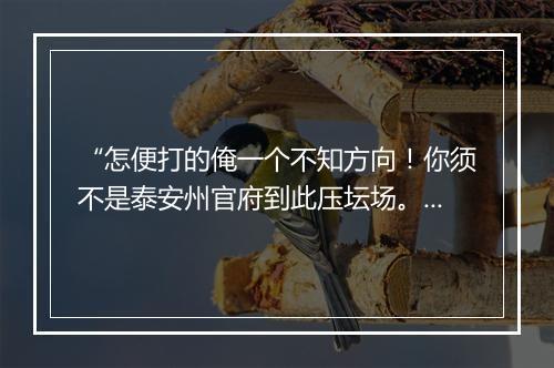 “怎便打的俺一个不知方向！你须不是泰安州官府到此压坛场。”拼音出处和意思