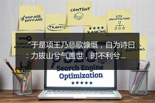 “于是项王乃悲歌慷慨，自为诗曰：力拔山兮气盖世，时不利兮骓不逝。”拼音出处和意思