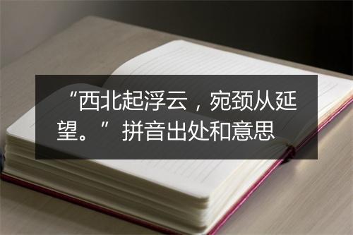 “西北起浮云，宛颈从延望。”拼音出处和意思