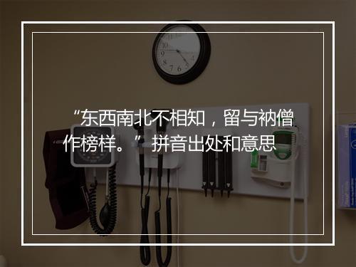 “东西南北不相知，留与衲僧作榜样。”拼音出处和意思