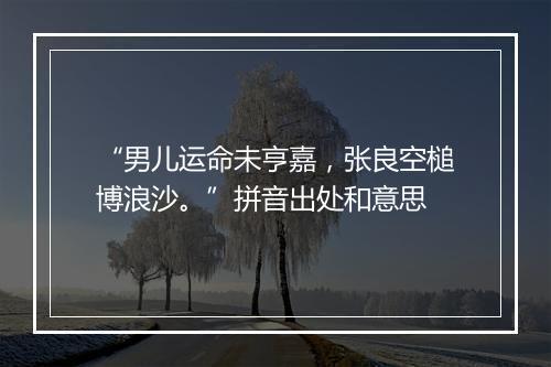 “男儿运命未亨嘉，张良空槌博浪沙。”拼音出处和意思