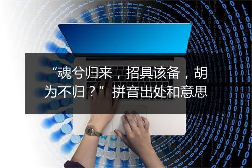 “魂兮归来，招具该备，胡为不归？”拼音出处和意思